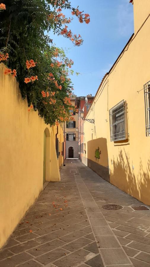 Casa Campanella Bed & Breakfast Pisa Bagian luar foto
